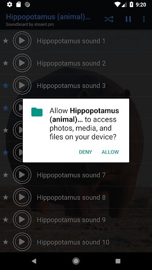 Hippopotamus (animal) sounds ~ Sboard.pro Screenshot 1