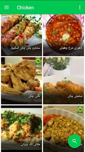Chicken Recipes in Urdu Screenshot 1