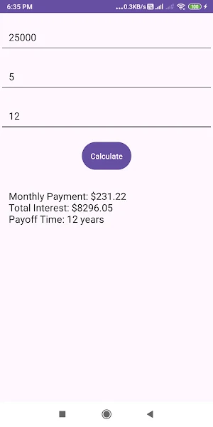 Debt Payoff Calculator Screenshot 2
