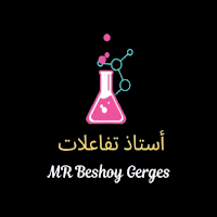 Mr Beshoy Gerges