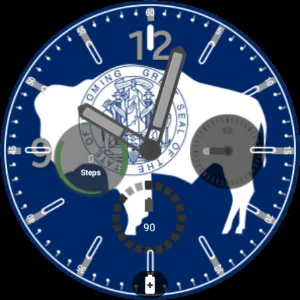 Wyoming Flag Watchface Screenshot 3