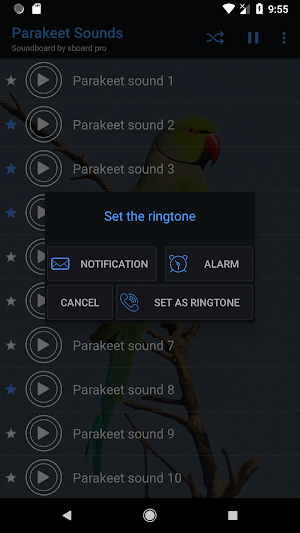 Parakeet Sounds ~ Sboard.pro Screenshot 2