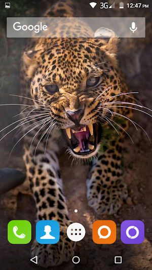 Wild Animal Hd Wallpaper Screenshot 0