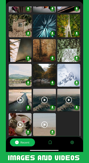 Status Saver Pro & Download Screenshot 0
