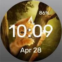 Poor Ginger - Watch Face