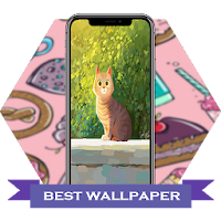 Cute photo Wallpapers 4K 2020