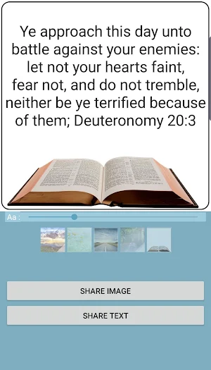 Bible and Dictionary Screenshot 1