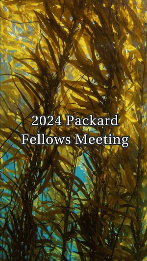 Packard Fellows Meeting Screenshot 1