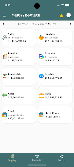 WebsysBI Screenshot 1