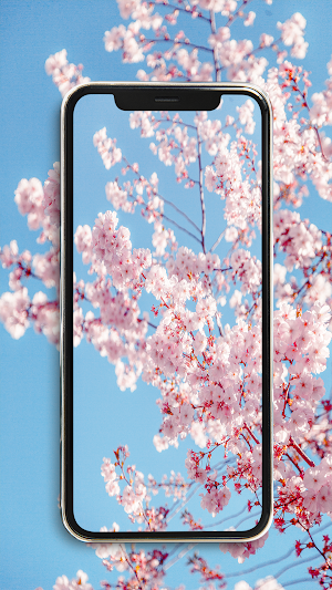 HD Wallpapers Screenshot 2