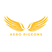 Aero Pigeons