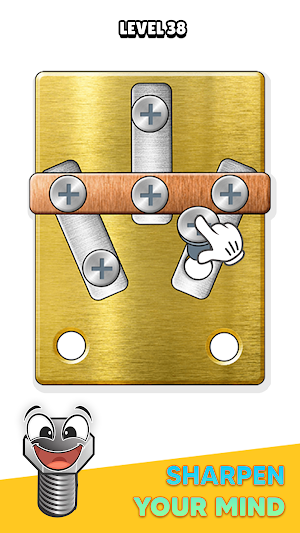 Screw Pins: Nuts and Bolts Screenshot 2
