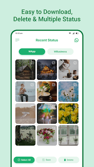 Status Saver & Video Saver Screenshot 1