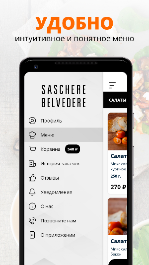 Saschere Belvedere Screenshot 1