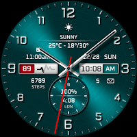 Watch face 10h08.com #100