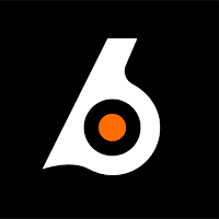 Birdeye