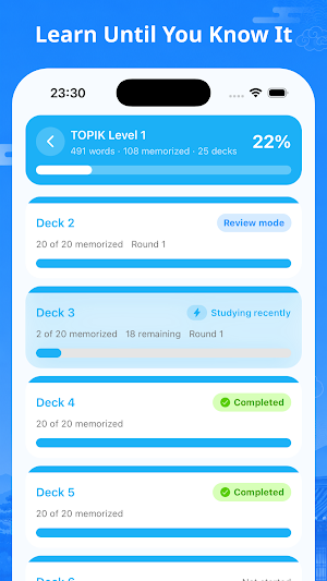 TOPIK Daneo: Korean Vocabulary Screenshot 3