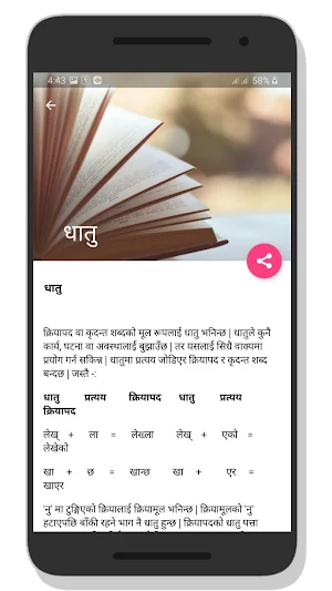 Nepali Grammar नेपाली व्याकरण Screenshot 3