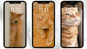 Orange Cat Wallpaper Screenshot 3