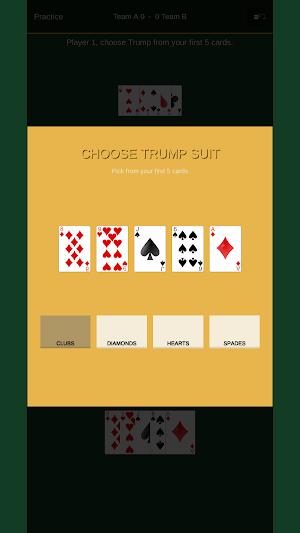 Turup Chaal Card Game Screenshot 1