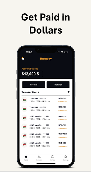Hurupay - US-based USD Account Screenshot 2