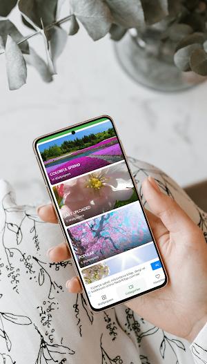 Spring Wallpapers 2024 Screenshot 1