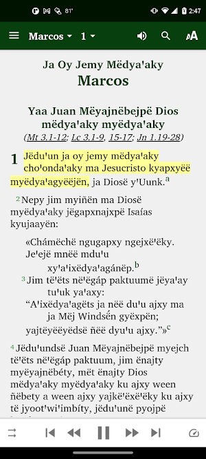 Isthmus Mixe NT Screenshot 0