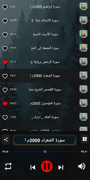 قران مشاري العفاسي | بدون نت Screenshot 3