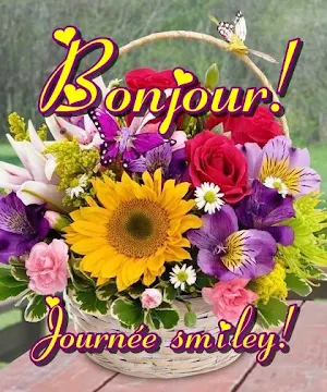 Bonjour! Screenshot 0