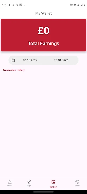 EC Mini Bus Screenshot 3