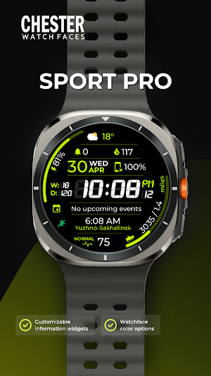 Chester Sport Pro watch face Screenshot 0