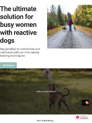 Chill Dog Screenshot 3