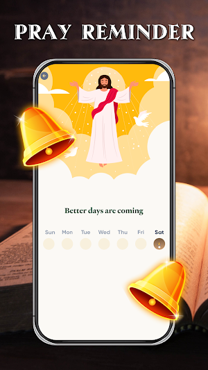 Holy Bible - Bible Study Screenshot 2