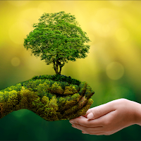 facts about nature