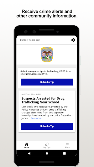 Danbury PD Screenshot 0