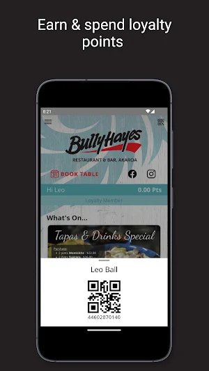 Bully Hayes Screenshot 1
