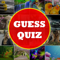 Guess The Picture Quiz