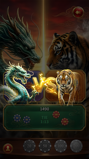 Dragon Spirit – Tiger Soul Screenshot 1