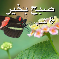 Persian Morning & Night Greets