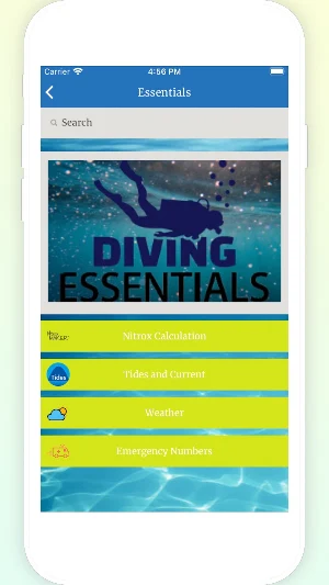 Dive Subculture Screenshot 1