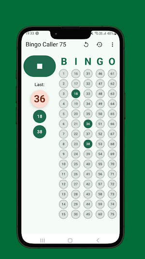 Bingo Caller 75 Screenshot 0