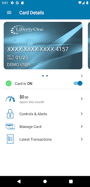 LibertyOne CardControl Screenshot 0