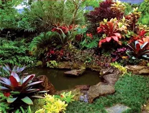 Decorative Plants Garden Screenshot 1