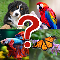 Nature Quiz