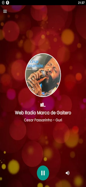 Web Radio Marca de Gaitero Screenshot 1