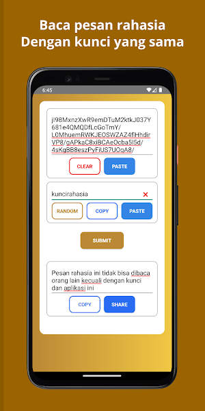 Pesan Rahasia Screenshot 3