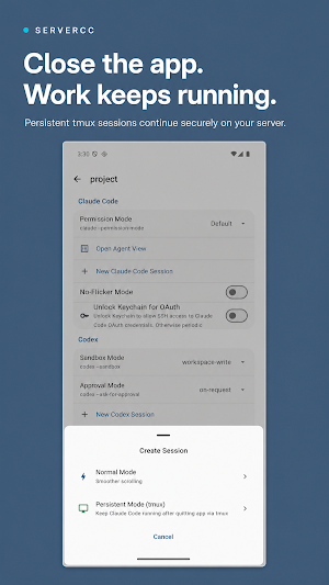 ServerCC - Claude Code & Codex Screenshot 2