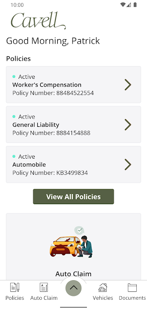 Cavell Risk Inc. Screenshot 1