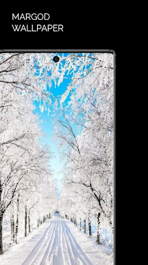 Winter Wallpaper Screenshot 0