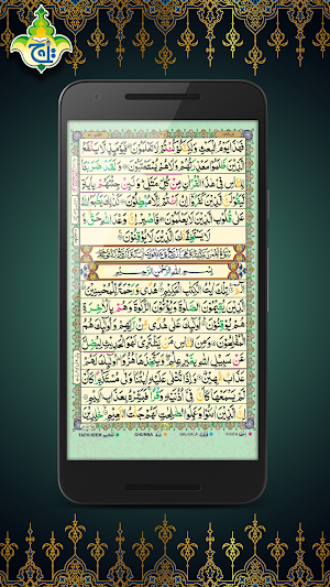Al Quran Kareem - Taj Company 16 lines Tajweedi Screenshot 2